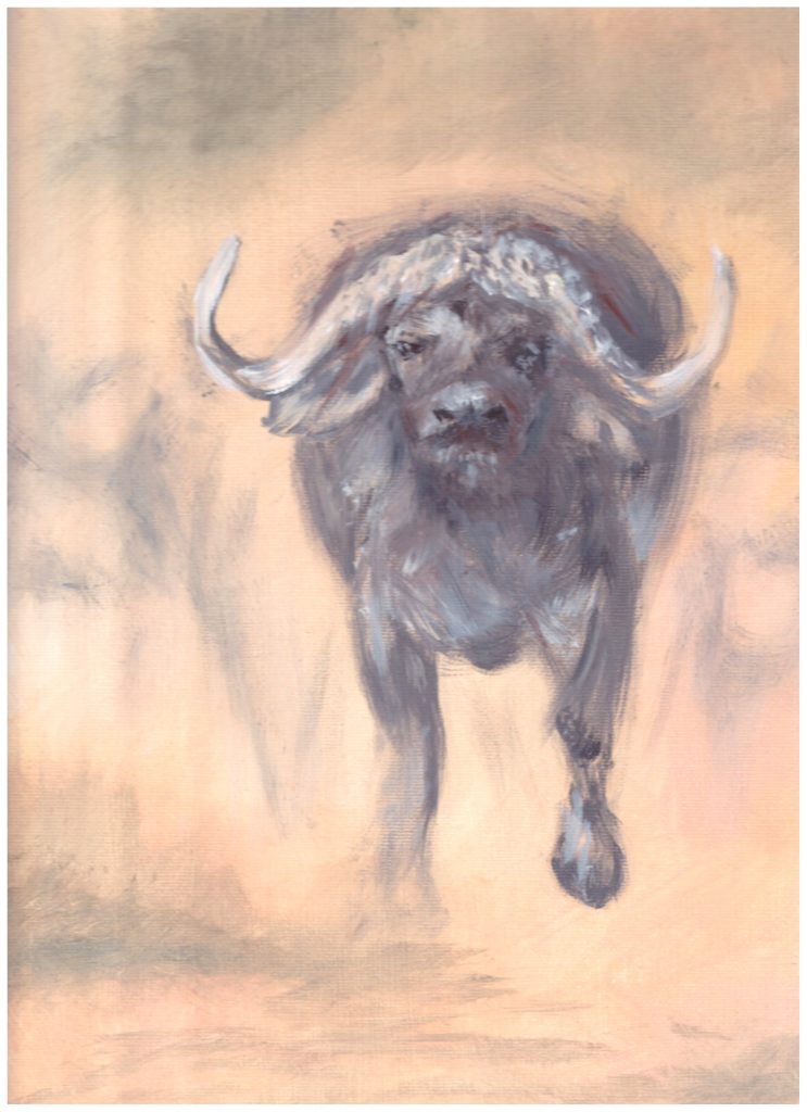 Cape Buffalo - detail